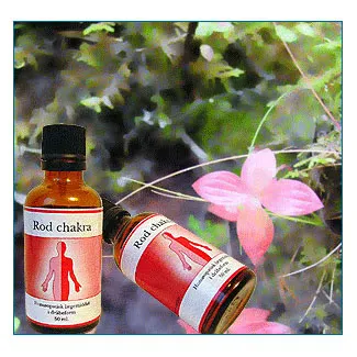 Rod maskulin chakra (50 ml)