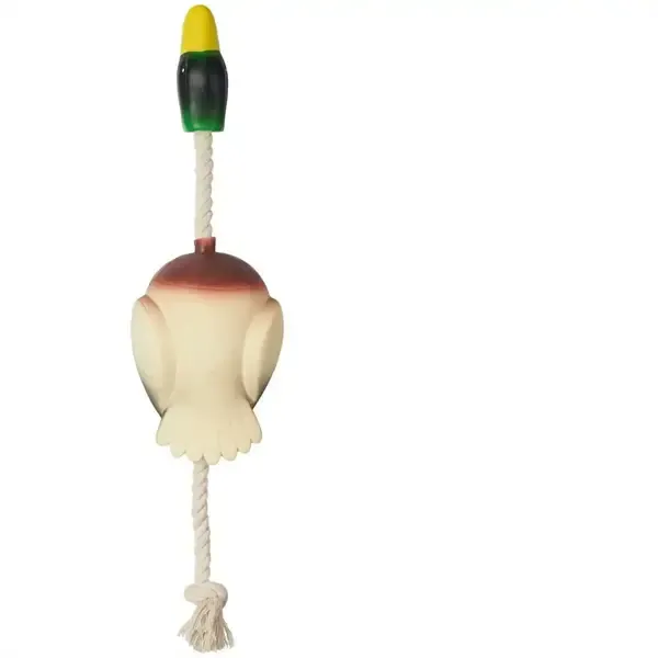 Companion latex and med reb, 40 cm
