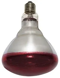 Varmepære Philips rød 250 w