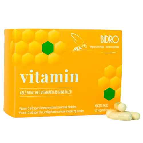 Bidro Vitamin Vegansk (60 kaps)