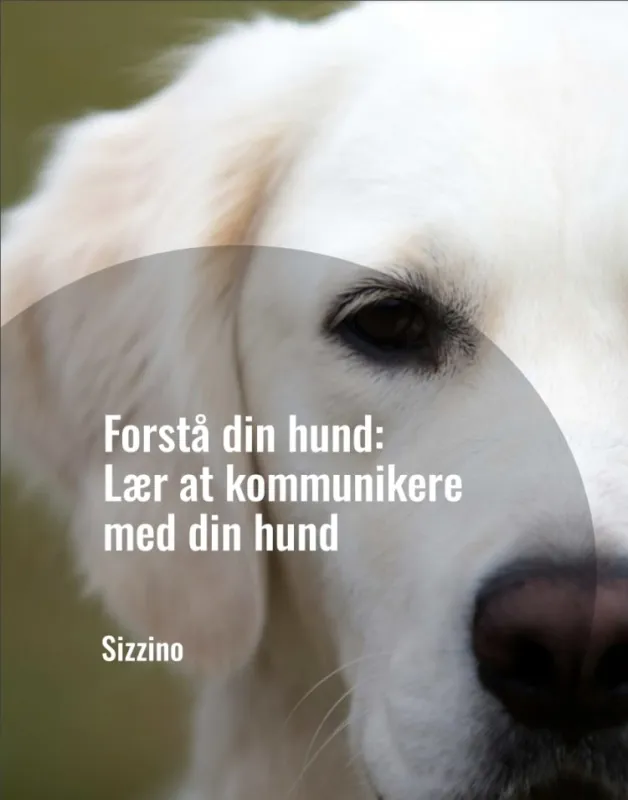 Forstå din hund: Lær at kommunikere med din hund