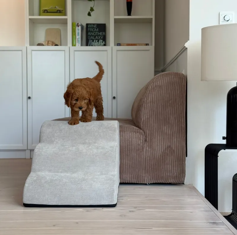 Trappe m. aftageligt betræk / beige - 55 cm