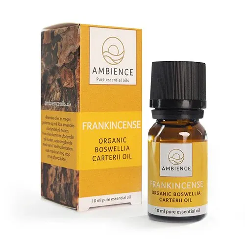 Ambience Frankincense olie, øko - 10 ml.