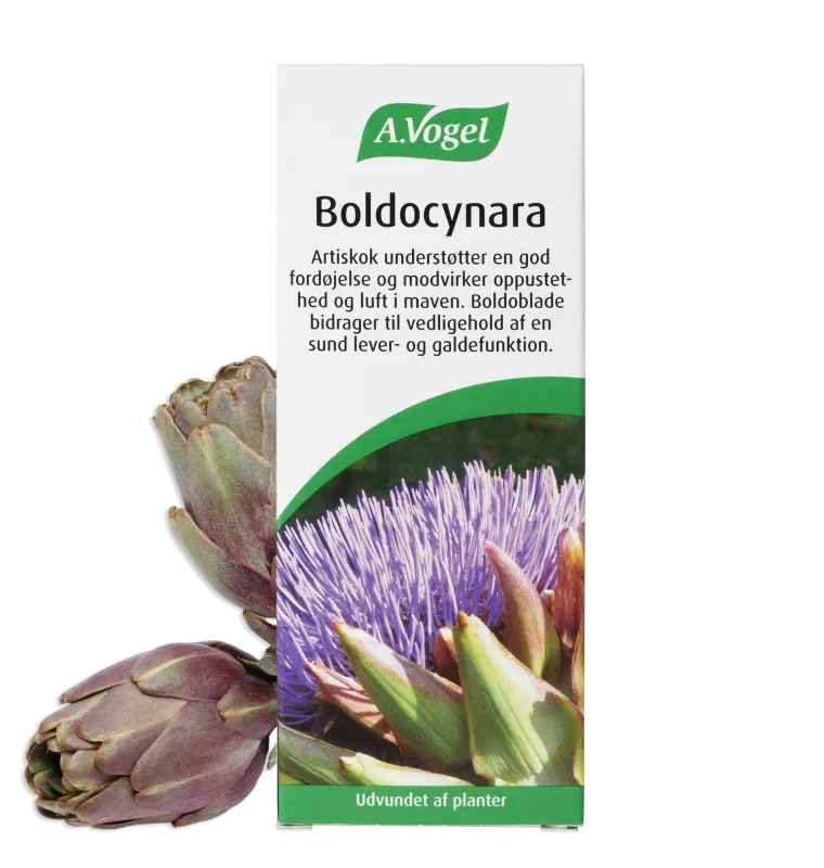 A.Vogel Boldocynara Dråber 100 ml.