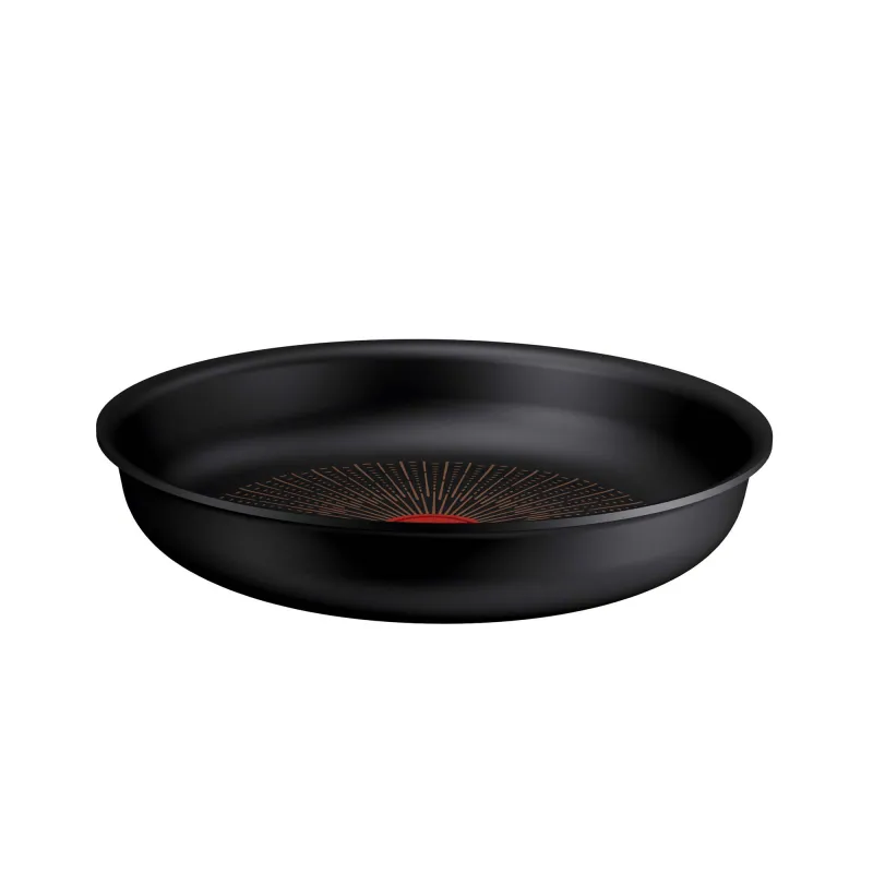Tefal Ingenio Excellence Fusion stegepande Ø24 cm