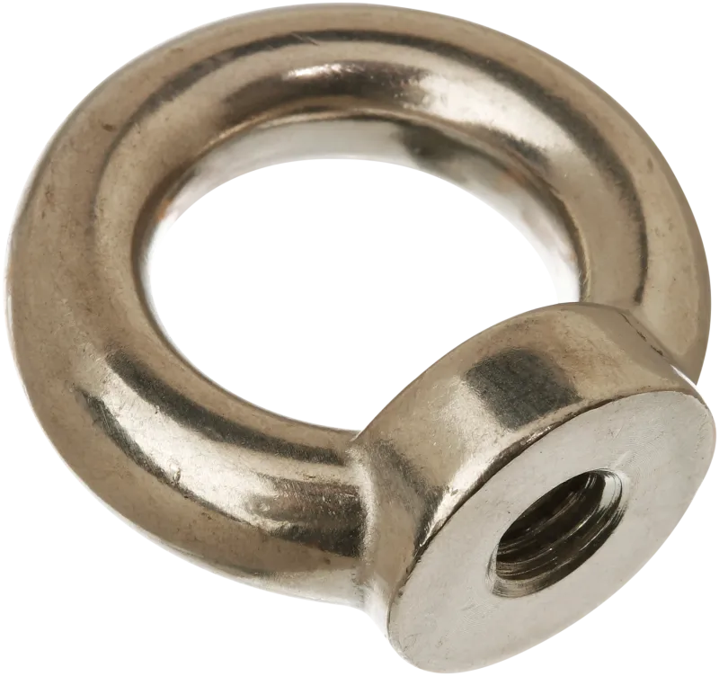 Øjemøtrik A4 DIN 582 20mm