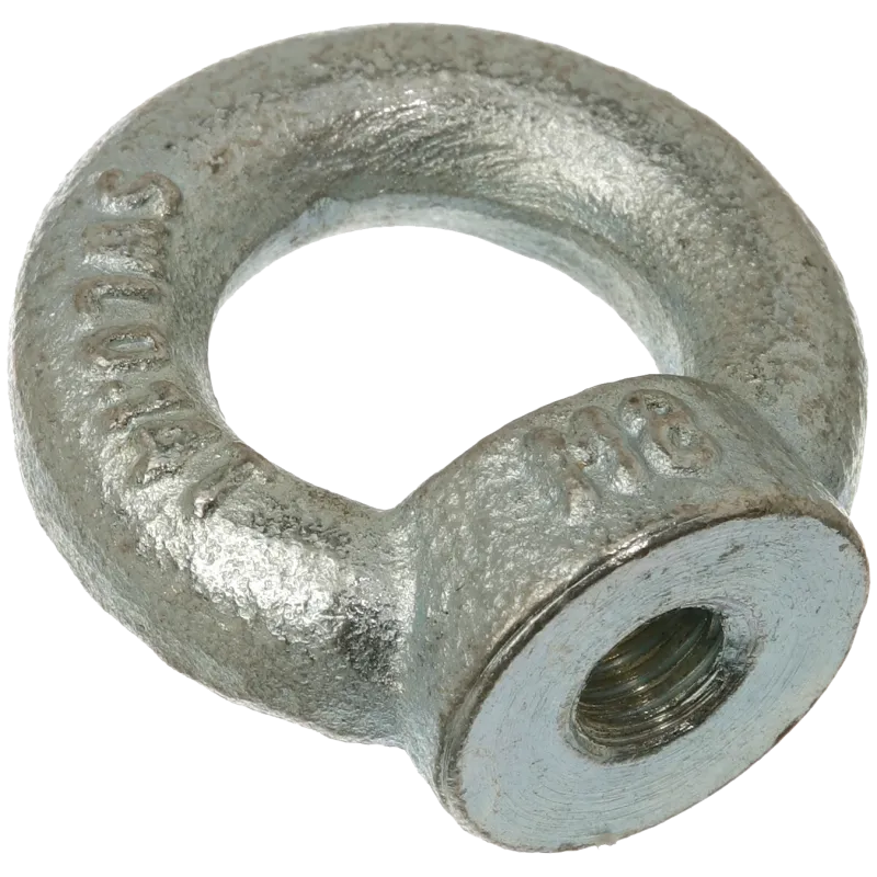 Øjemøtrik DIN582 galvaniseret 24mm