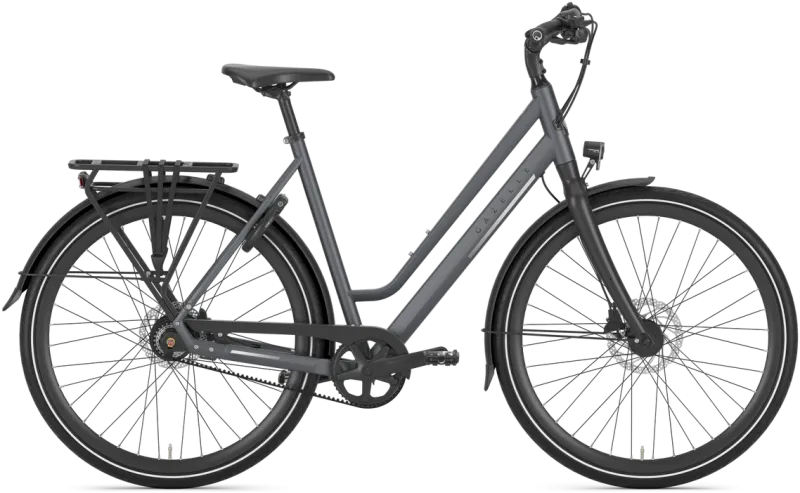Gazelle Chamonix S11 Dame 2026 - Grå