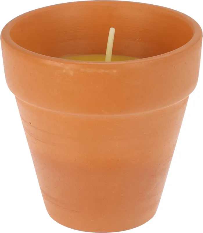 Citronellalys små, 24 stk., H9 cm