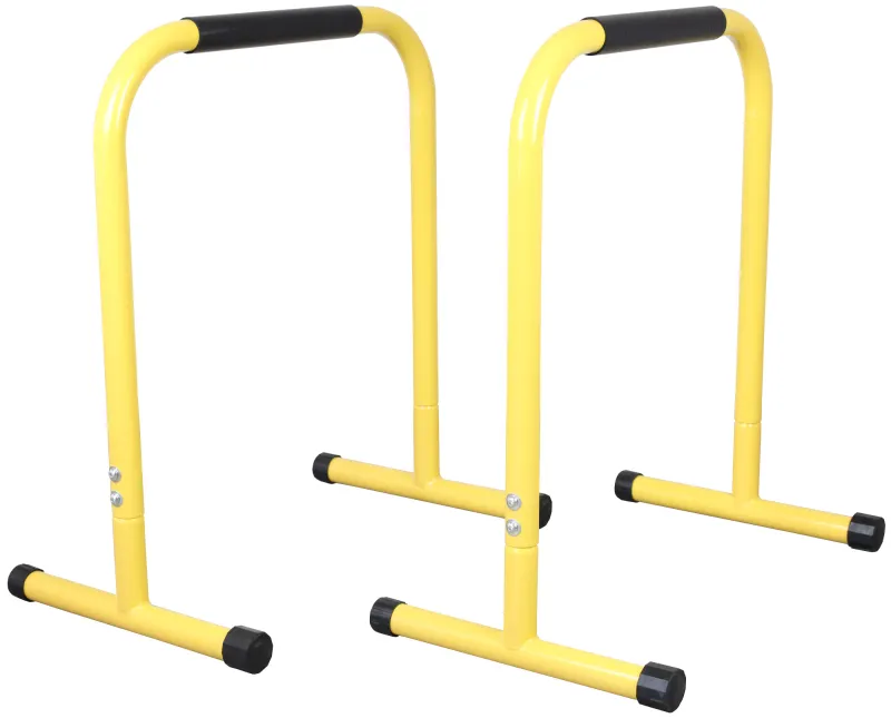 Odin Viking Equalizer Dip Bars