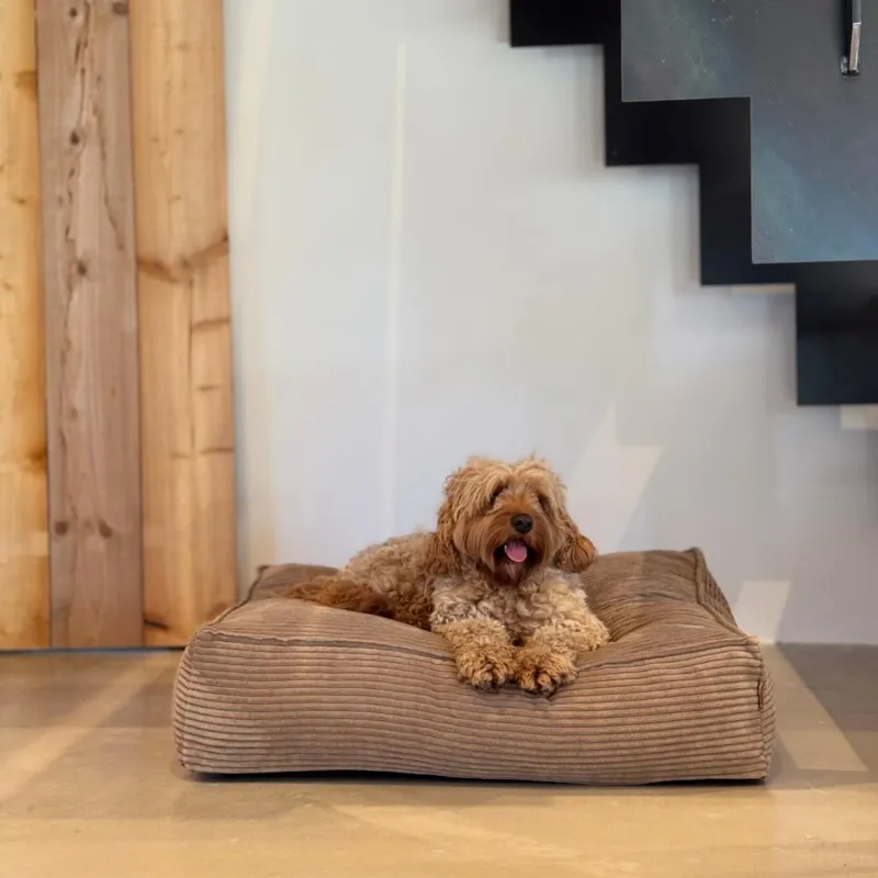 Frede hundekurven i lys brun - bred fløjl - Medium