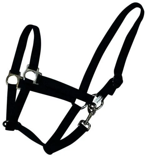 Hestegrime pony sort