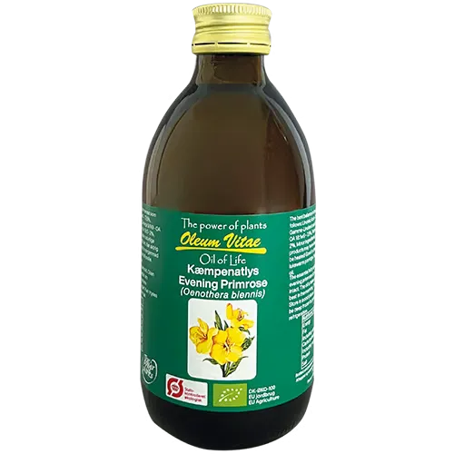 Livets Olie - Oil Of Life Kæmpenatlysolie Ø (250 ml)