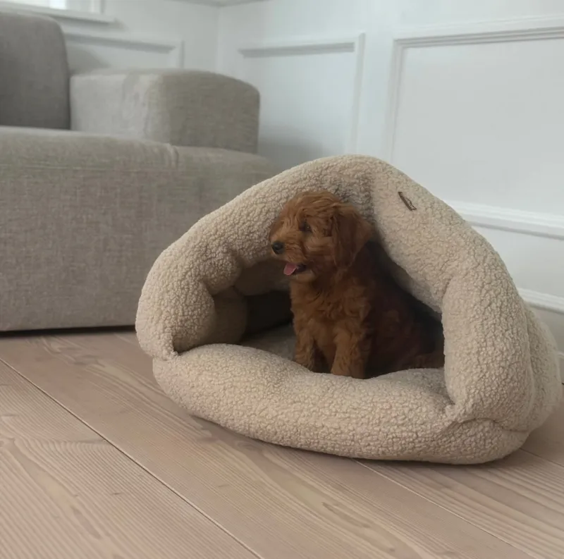Elfe hule hundekurven i natur - sherpa fleece
