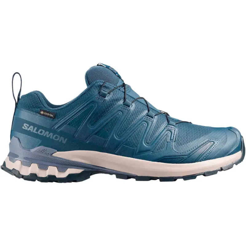 Salomon XA PRO 3D Gore-Tex Version 9 Herresko