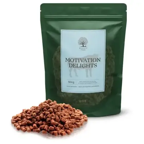 Essential Motivation Delights, 500 gr