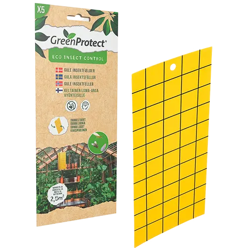 Green Protect Gule Insektfælder (5 stk)