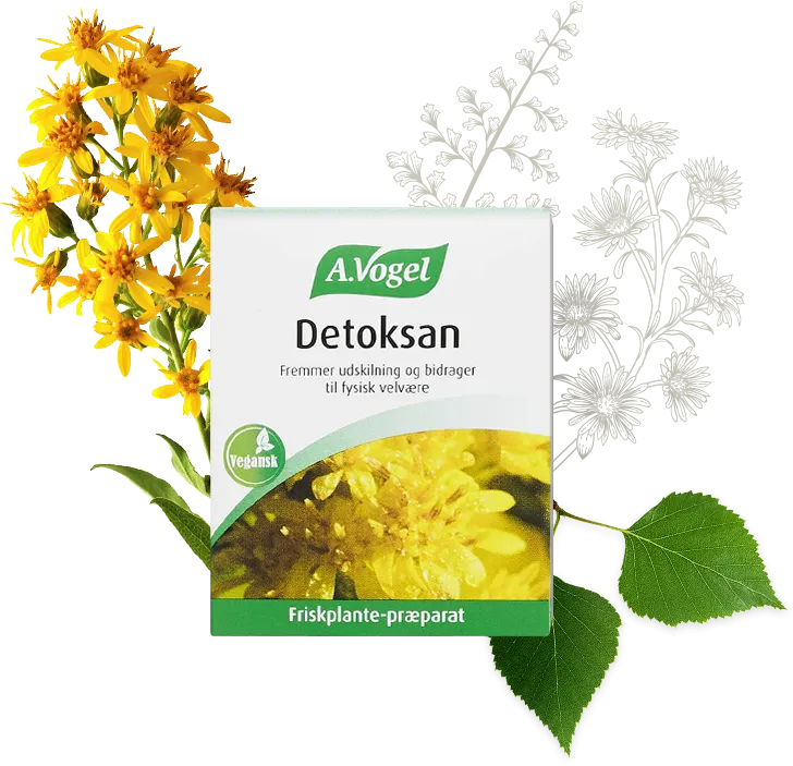A.Vogel Detoksan - 60 tabletter
