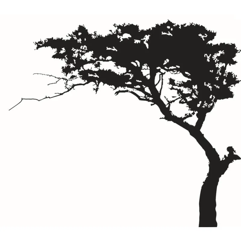 Træ wallsticker med et stort flot træ i Bonsai stil. 180x220cm