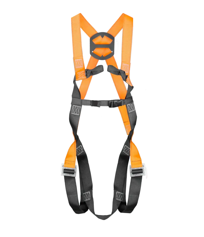 H-Sele BASIC FS 2002 Uni