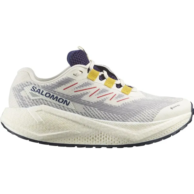 Salomon Aero Blaze 3 GRVL Gore-Tex Løbesko Dame
