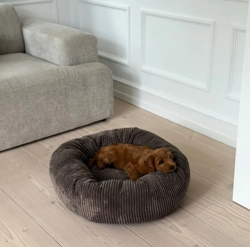 Elva hundekurven i mørk brun - bred fløjl - Medium 65ø