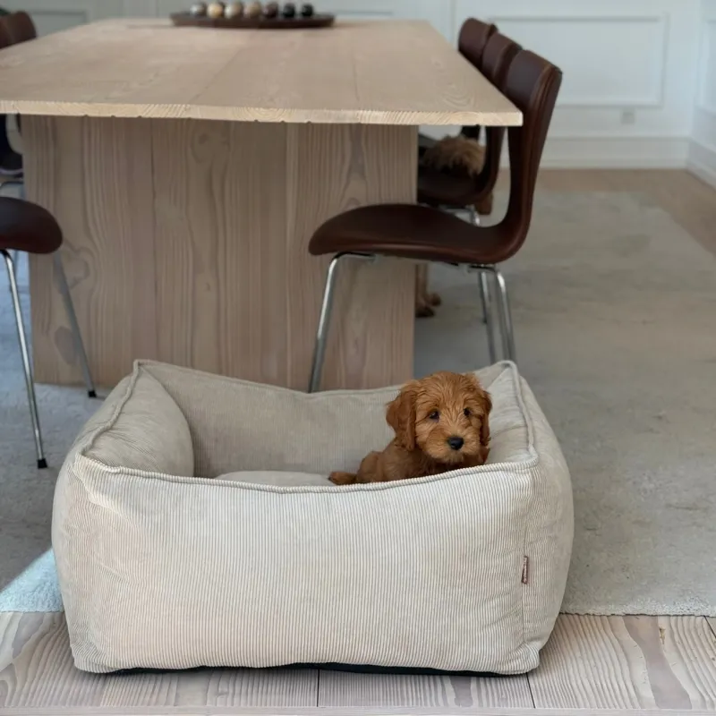 Carl hundekurven i beige - smal fløjl - XL