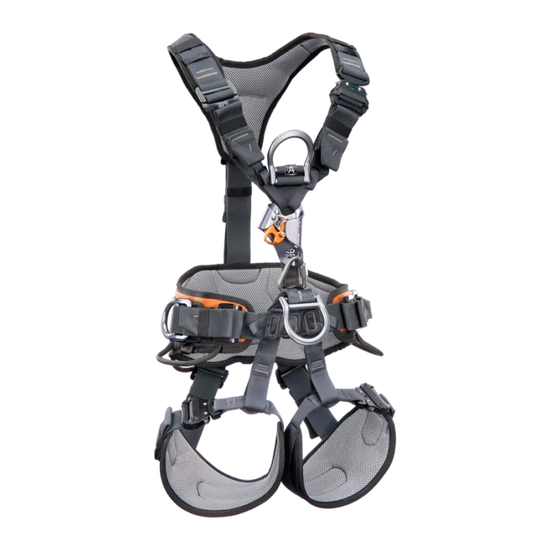 H-sele CT Gryphon Ascender