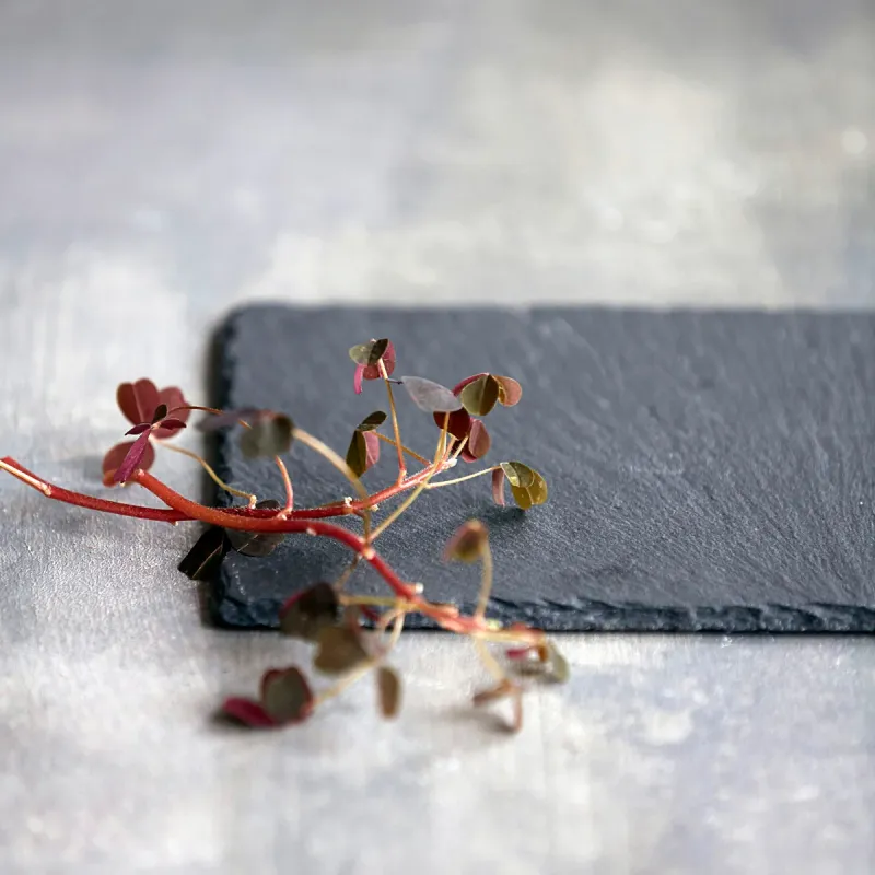 Nicolas Vahé - Serverings plade 20x12 cm -  6 stk.