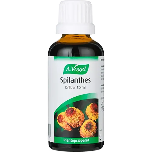 A. Vogel Spilanthes Mundskyl (50 ml)
