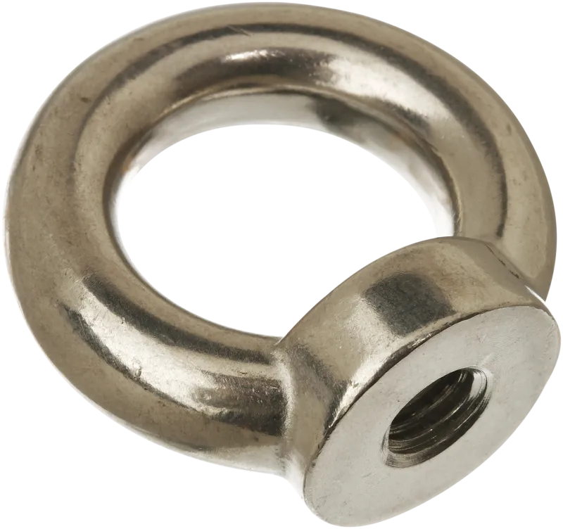 Øjemøtrik A4 DIN 582 10mm