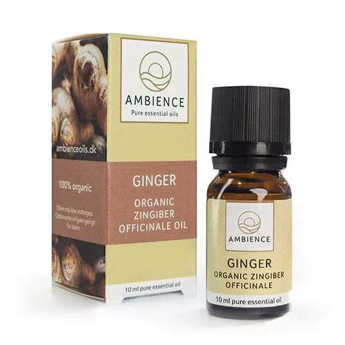 Ambience Ingefær olie, øko - 10 ml.