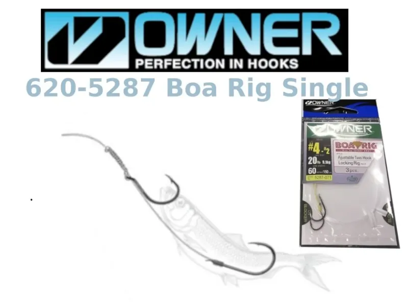 Owner Boa Rig Single - #