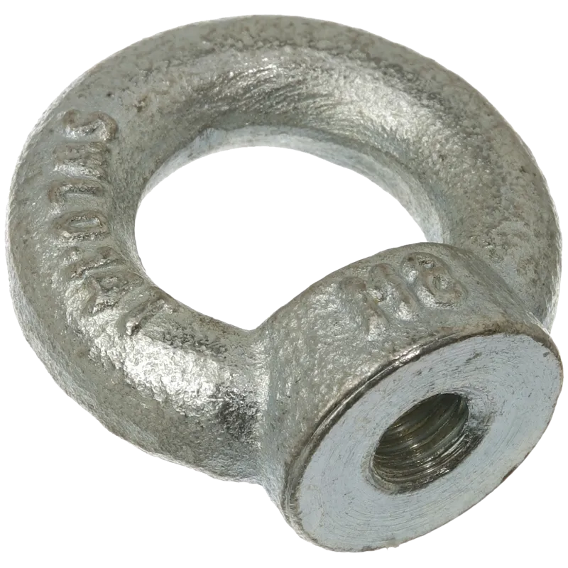 Øjemøtrik DIN582 galvaniseret 10mm