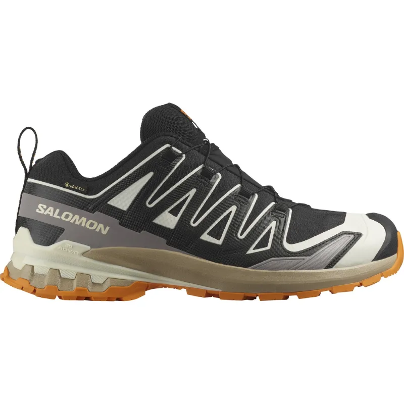 Salomon XA Pro 3D V9 GTX, trailsko, herre, sort