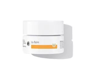 Dr. Hauschka Læbesalve &bull; 4,5ml. 25%