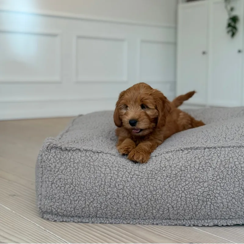 Frede hundekurven i sherpa fleece