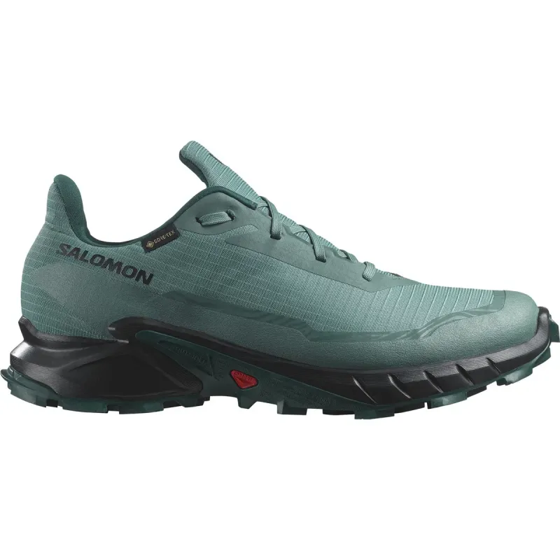 Salomon Alphacross 5 Gore-Tex Herresko