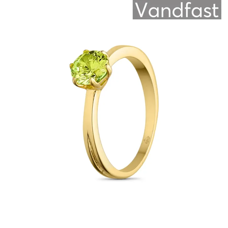 ANNEBRAUNER Princess D-Apple Ring 18K Guldbelagt