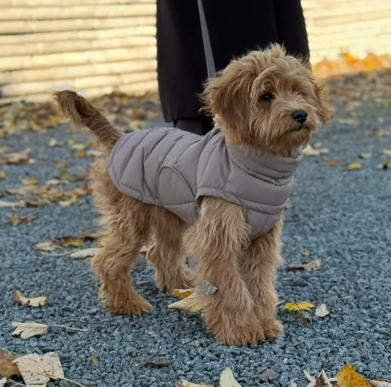 BY DOODLE DOGS EVA HUNDEJAKKE VINTER / Brun - 1
