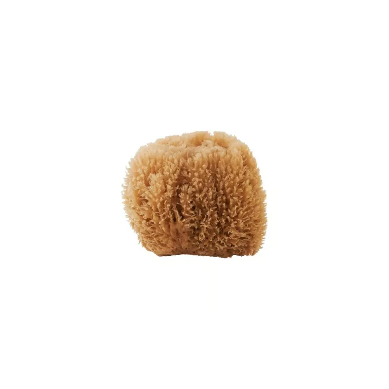 Meraki Sponge Bahamas 1 stk.