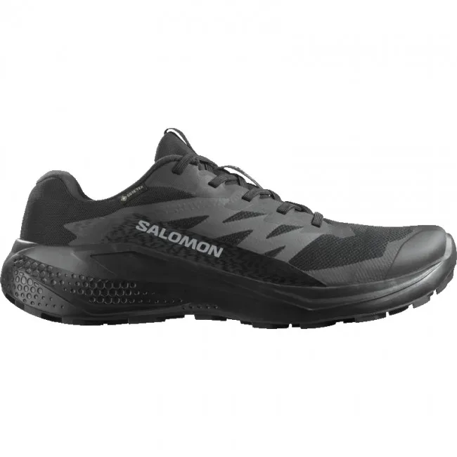 Salomon Alphaglide GTX, løbesko, herre, sort