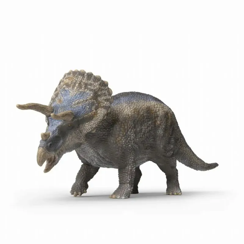 Triceratops