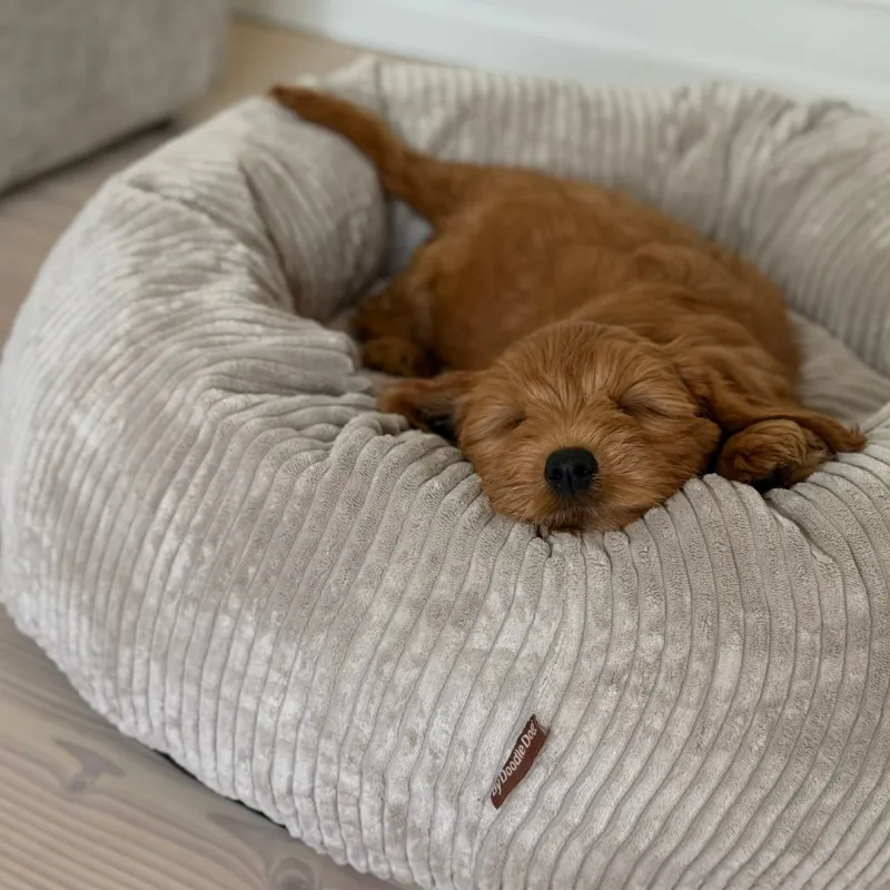 Elva hundekurven i beige - bred fløjl - Medium 65ø