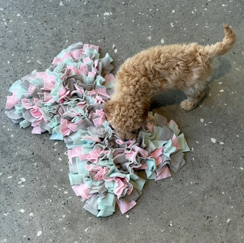 Snusemåtte til hund