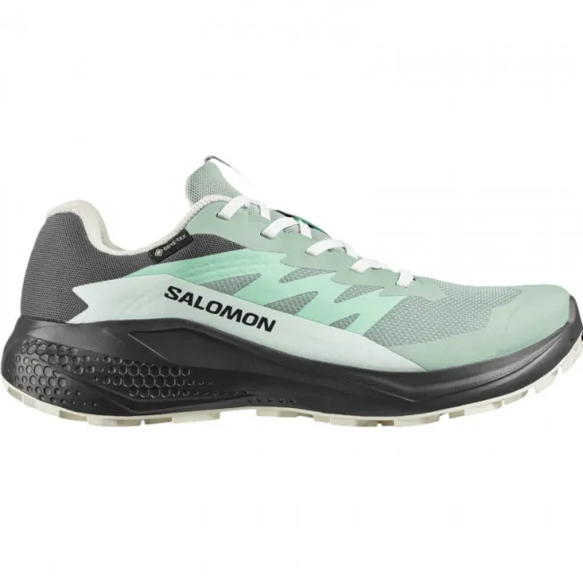 Salomon Alphaglide GTX, løbesko, dame, grøn/grå