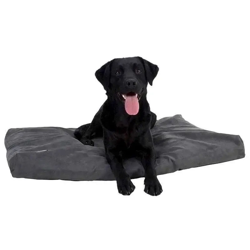 Buster Memory Foam, Large, Grå
