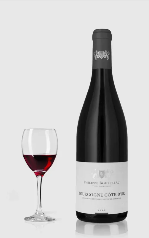 Domaine Philippe Bouzereau Bourgogne Cote Dor Rouge 2023