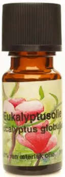 Eukalyptusolie æterisk 30 ml.