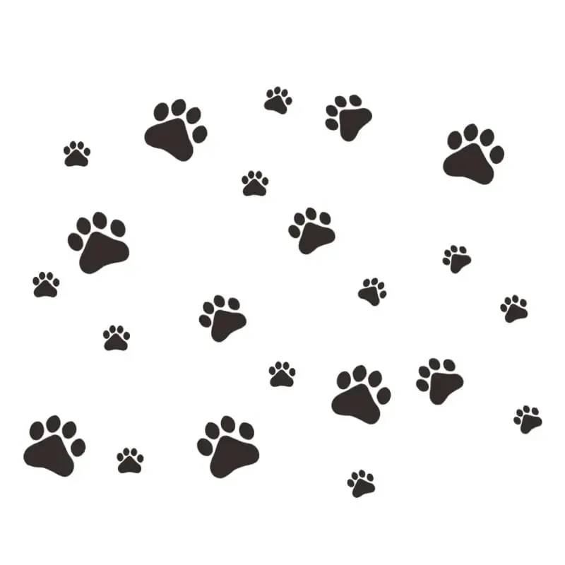 Hunde wallsticker med søde hundepoter. Få hunde poteaftryk på væggen.